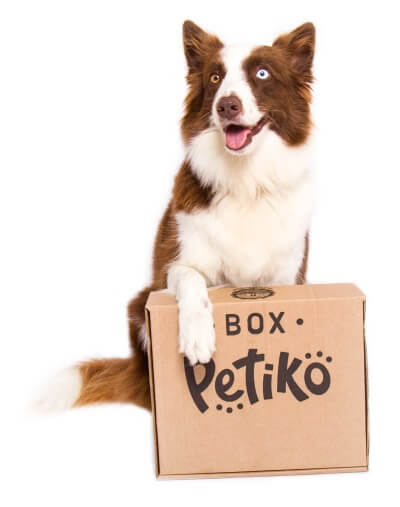 BOX.Petiko