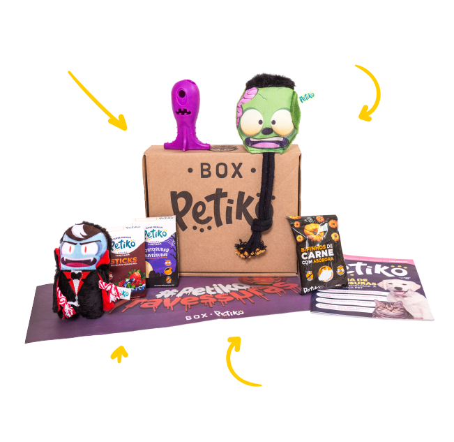 Como funciona a BOX.Petiko